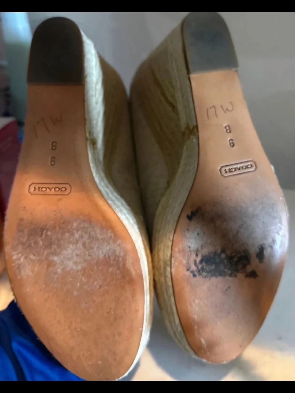 Coach wedge pumps